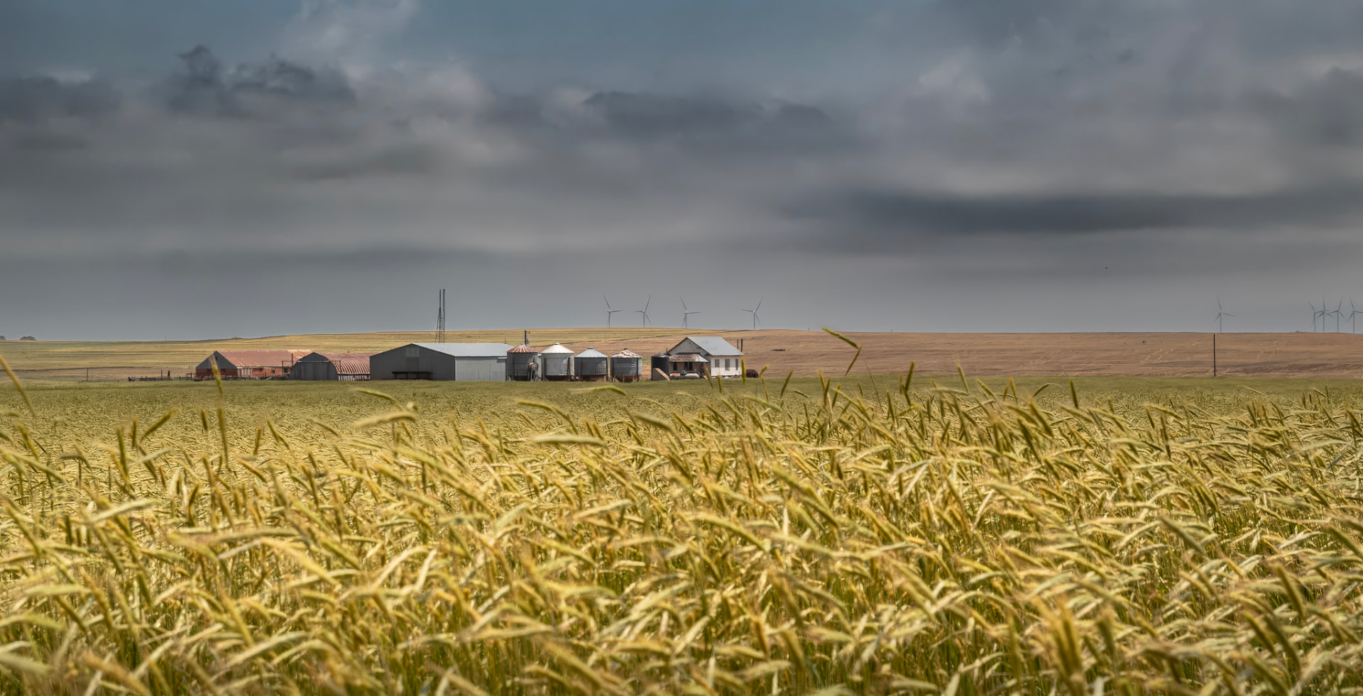 Yield — a wheat field and grain silos under a storm sky in Oklahoma, a reFocus Awards 2025 nominee