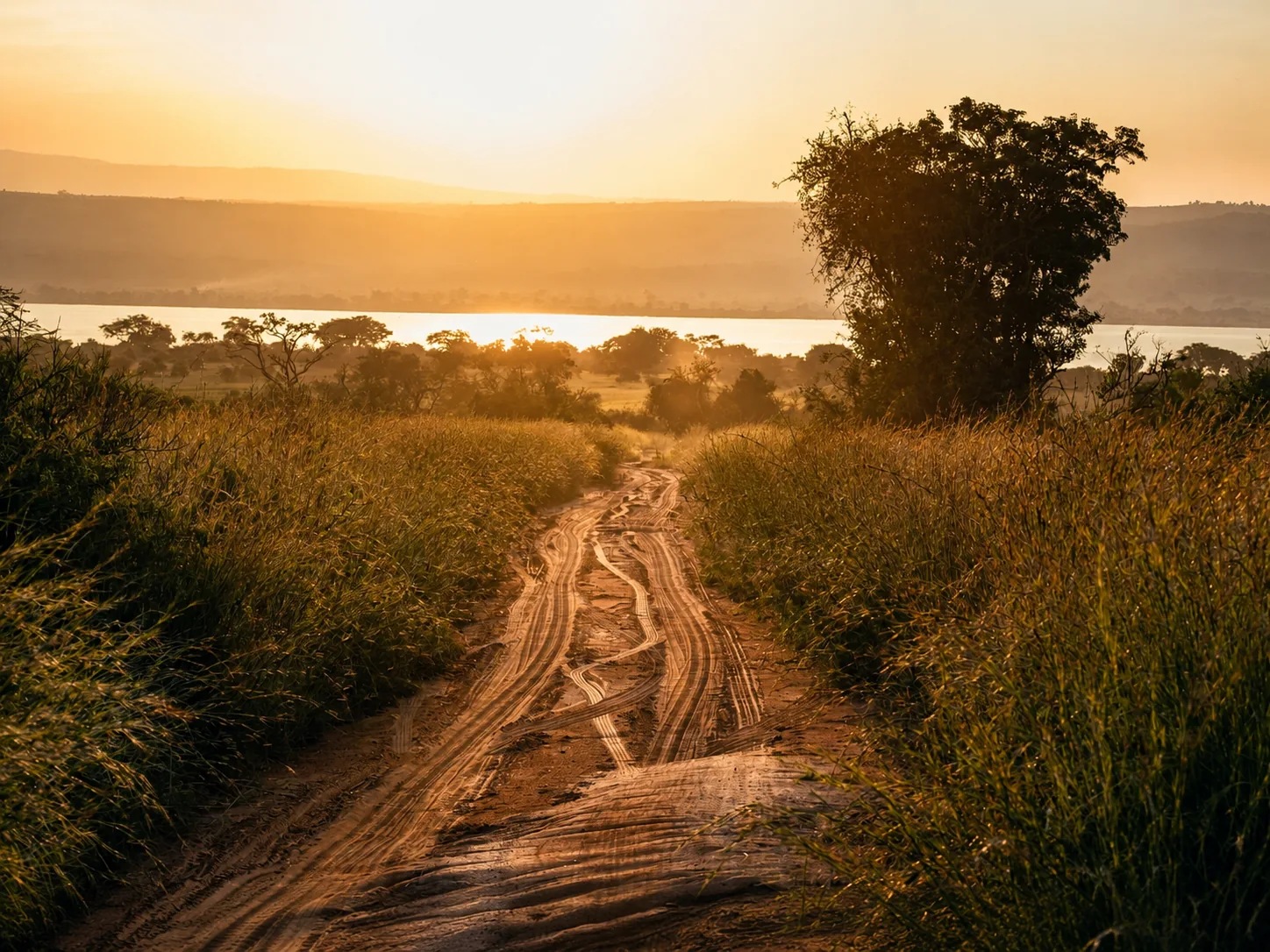 A dirt road winding through tall grass toward a lake at sunrise in Uganda