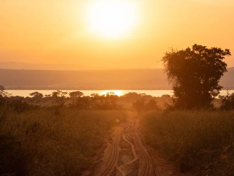 Uganda Winding Road Sunset | Janelle Nightingale