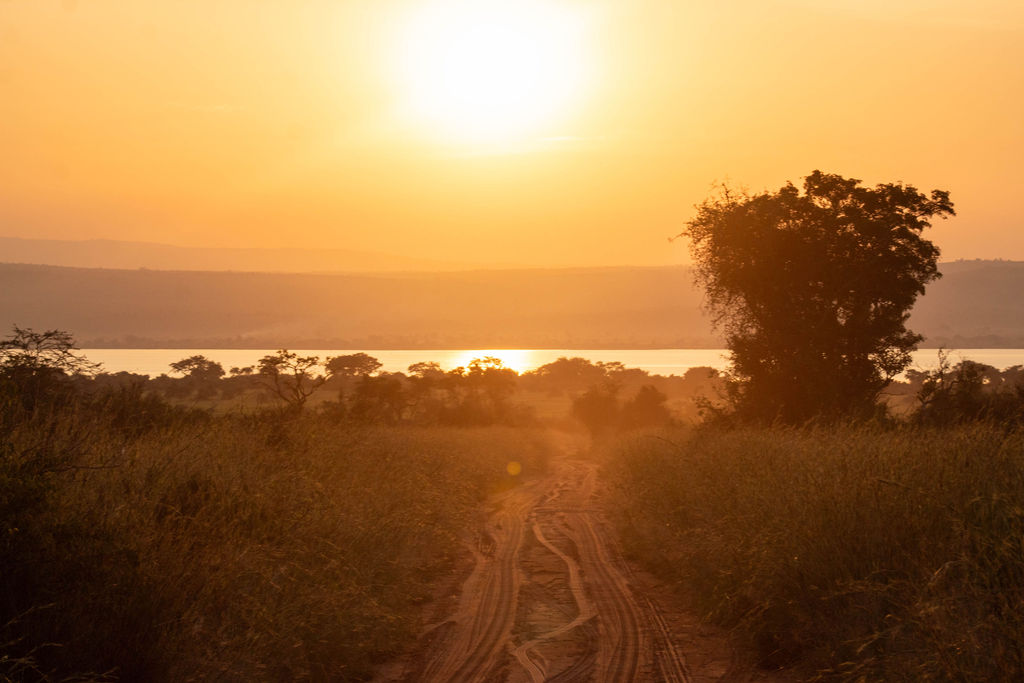 Uganda Winding Road Sunset | Janelle Nightingale